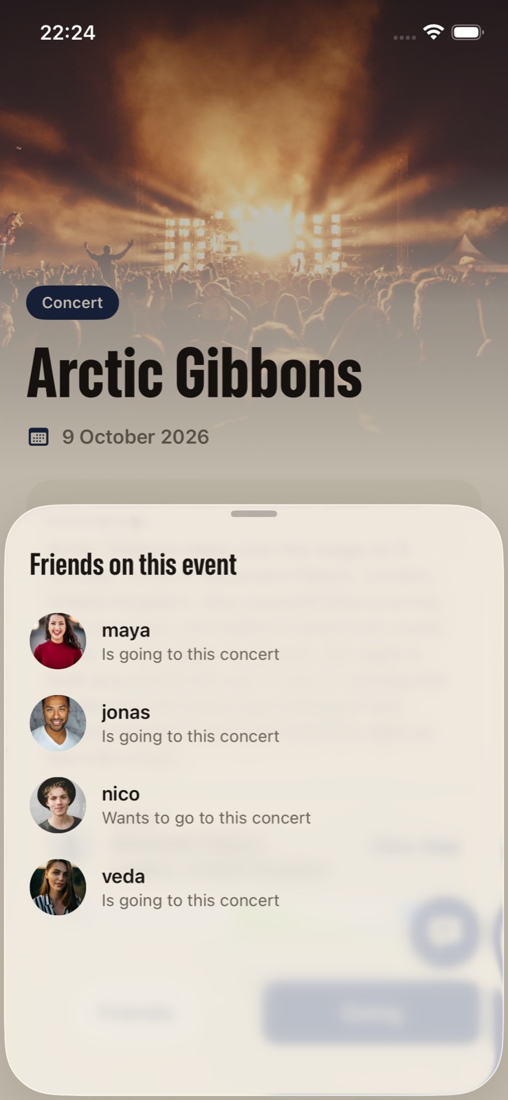 Friends going to the same concert